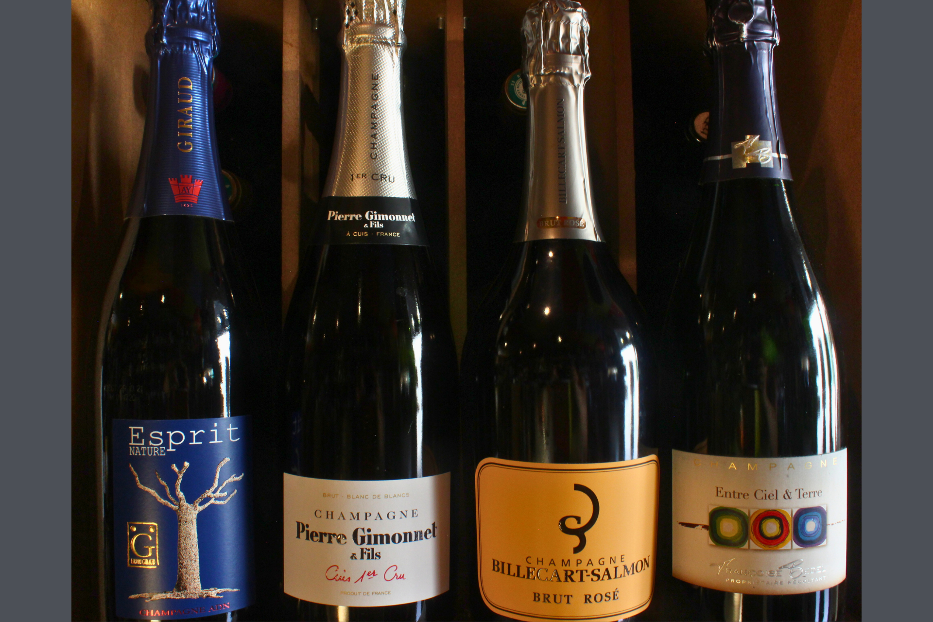 Vins Champagne Cave Petit Verdot